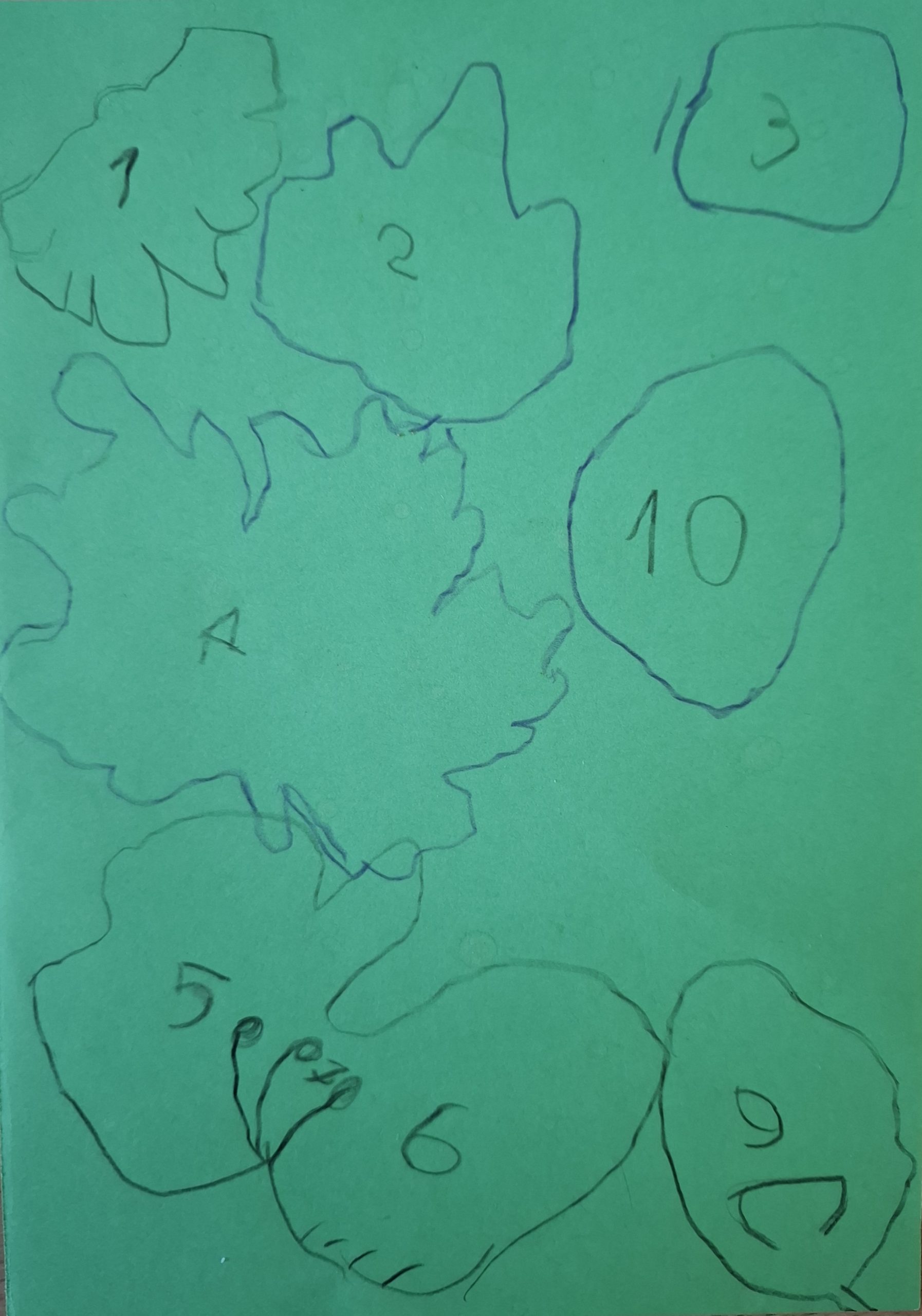 1000040681