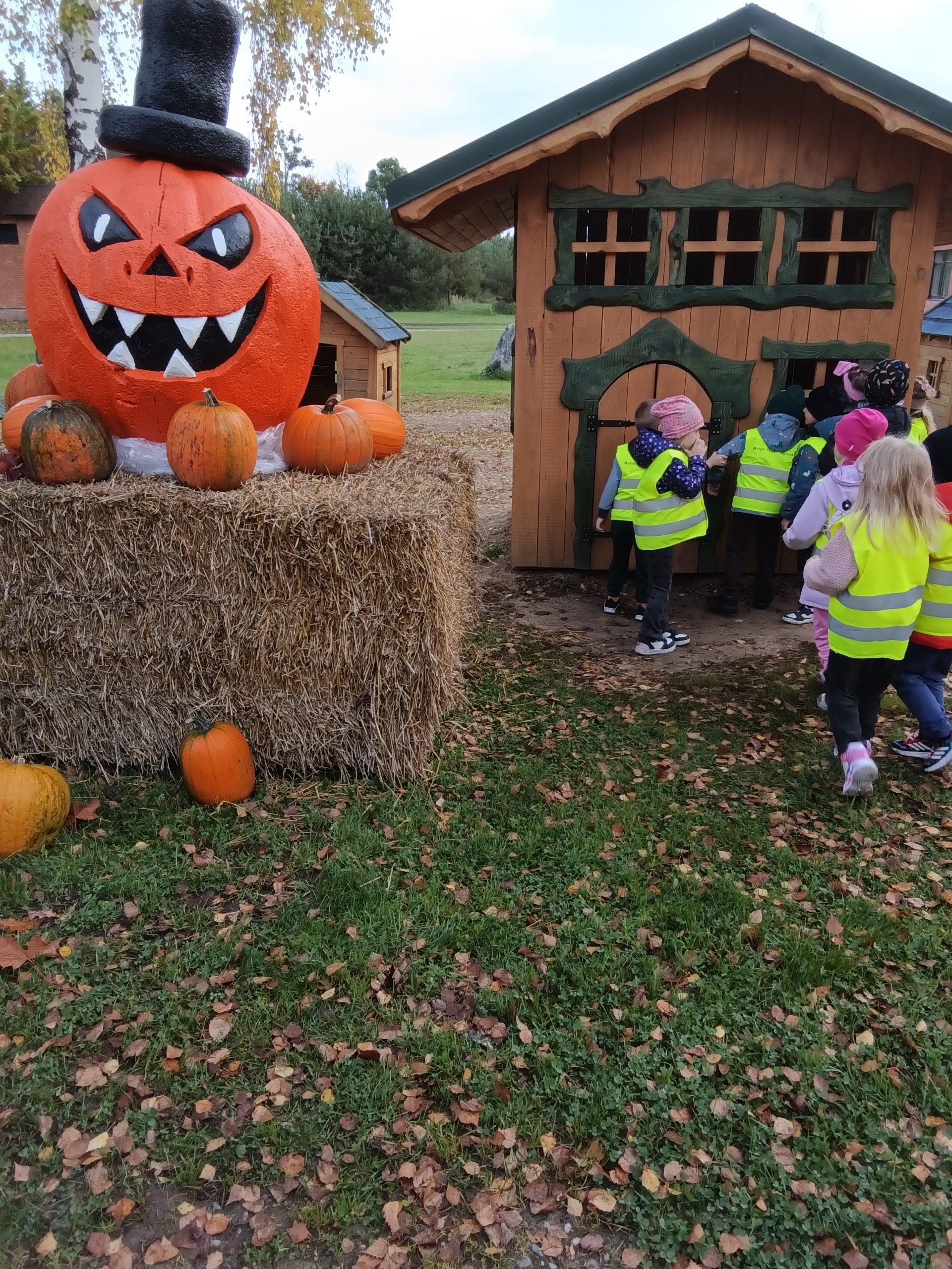 IMG_20261005_103957221